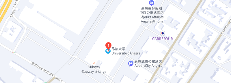 法国昂热大学